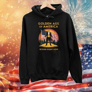 The Golden Age Of America Begins Right Now Trump Usa flag T-Shirt